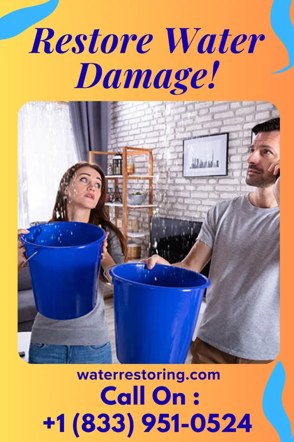 water restoration Express Sewage Cleanup & Associates Hillman
