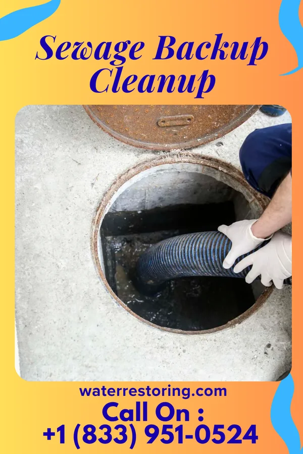 Sewage Backup Cleanup in Hillman, MI