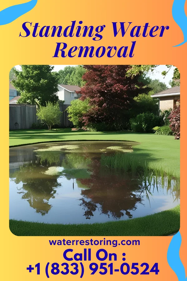 Standing Water Removal in Hillman, MI
